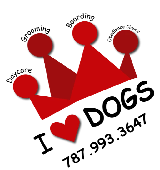 logo-user-init-loader